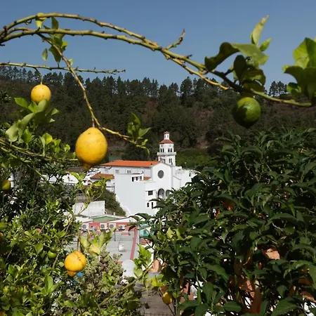 El Alto Moya (Gran Canaria)