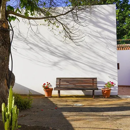 El Alto Moya (Gran Canaria)